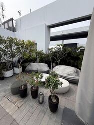 Meier Suites (D15), Condominium #635739251